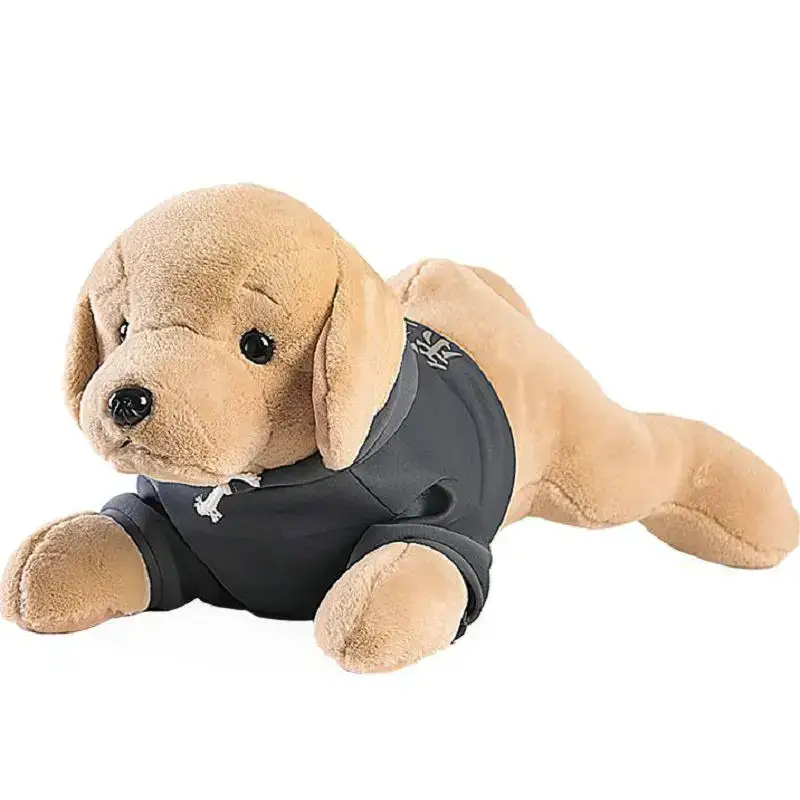 Hugo le Golden Retriever – Image 2